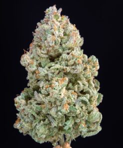 Afghan Kush Auto — изображение 6
