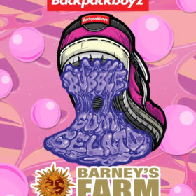 Bubblegum Gelato Barneys Farm