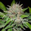 Deep Mandarine CBD Delicious Seeds