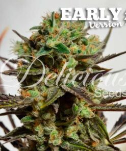 Delicious Candy Early Version Delicious Seeds