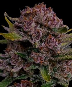 Gorilla Punch Auto — изображение 4