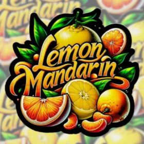 Lemon Mandarin Fast Buds Seeds