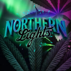 Northern Lights Barneys Farm Seeds