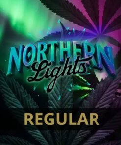 Northern Lights regular Barneys Farm Seeds