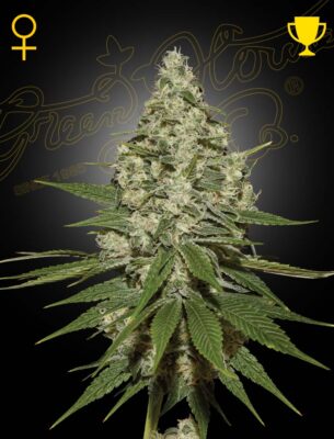 Super Lemon Haze Green House Seeds