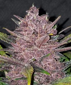 Blackberry Auto — изображение 10