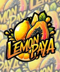 Lemonpaya Fast Buds Seeds