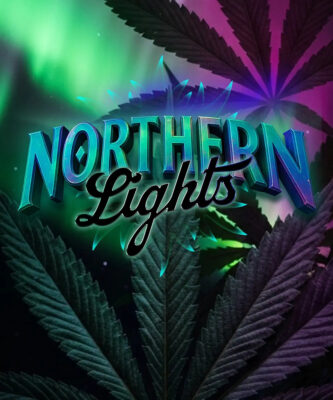 Northern Lights Barneys Farm Seeds